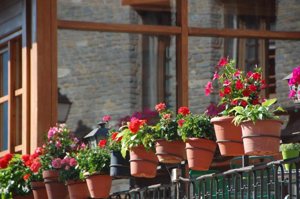 Hotel Roya Espot Exterior photo